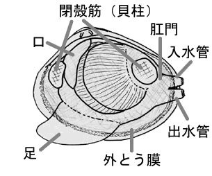 f0006510_19414756.gif