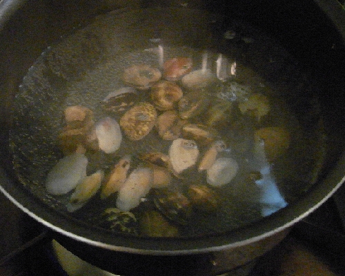f0006510_19573121.jpg