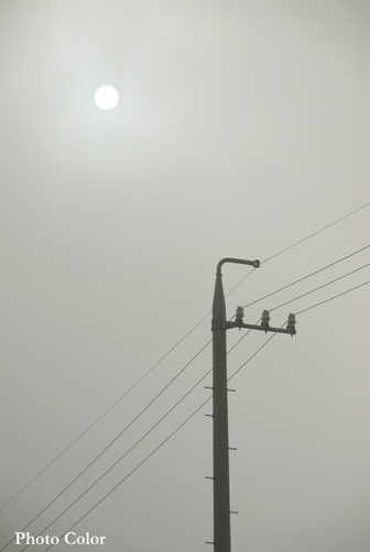 f0078127_106056.jpg