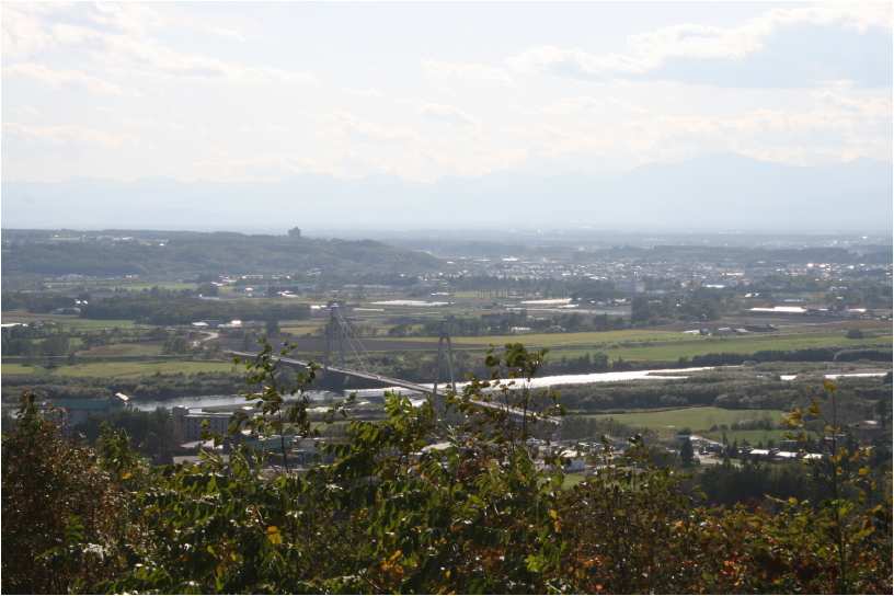 e0077528_2071066.jpg