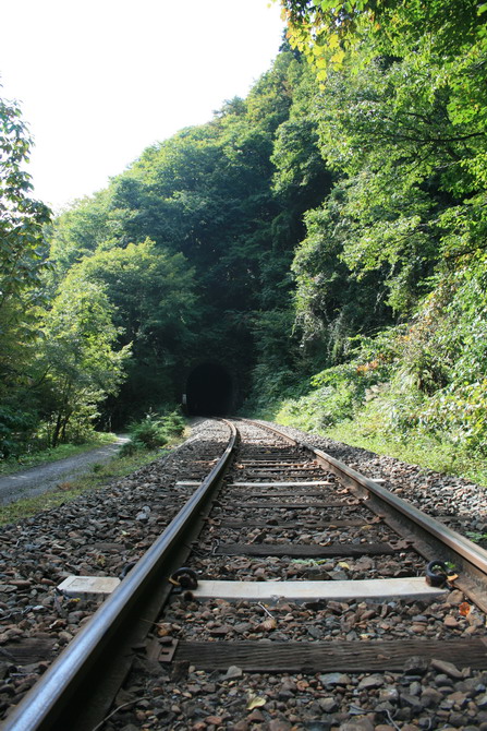 c0035931_018319.jpg