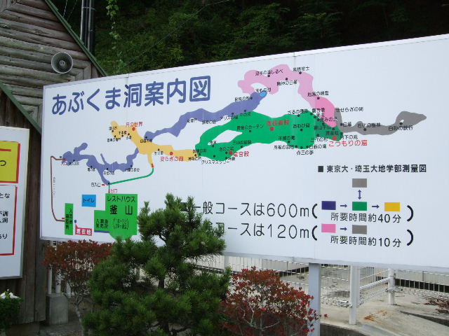 c0000134_1052292.jpg