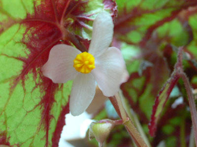 f0061334_23112854.jpg