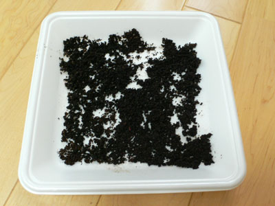 f0061334_2311710.jpg