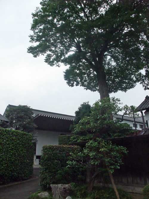 a0005436_21191693.jpg