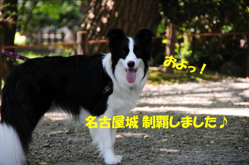 c0147241_0272853.jpg