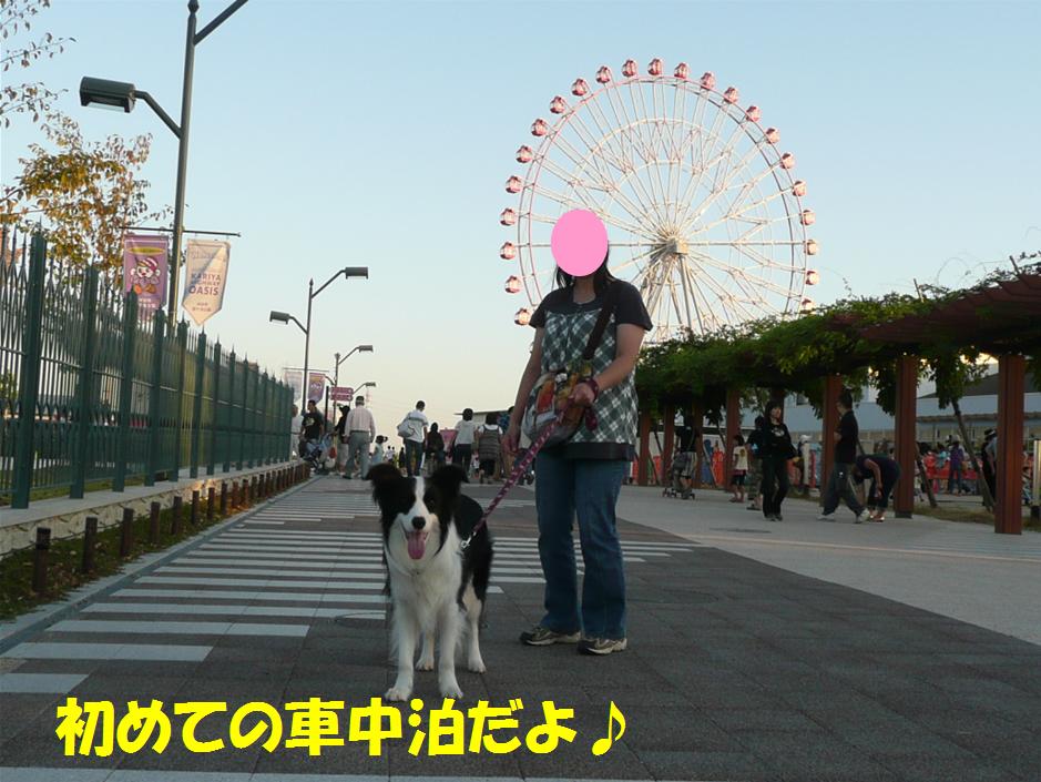 c0147241_0275498.jpg