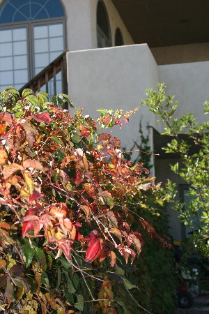 e0104941_446447.jpg