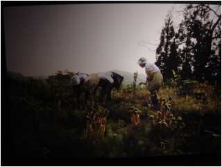 f0123142_19354287.jpg