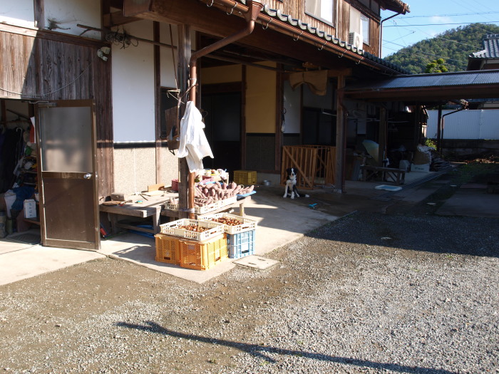 c0072843_1873788.jpg