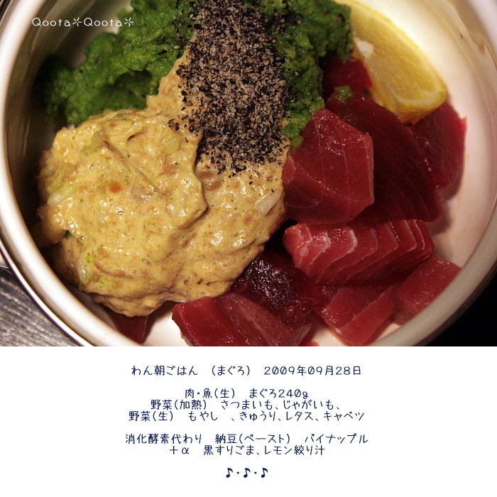 a0116048_16269.jpg