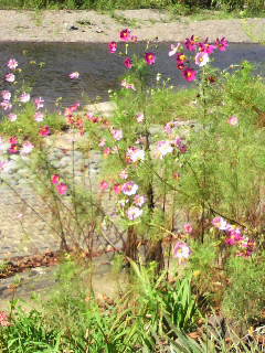 e0065350_2216028.jpg