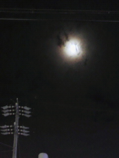 e0065350_2216084.jpg