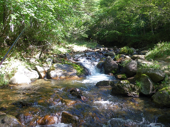 c0060452_20293765.jpg