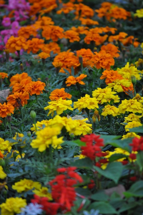 c0212355_1273946.jpg