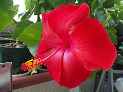 b0101263_1716659.jpg