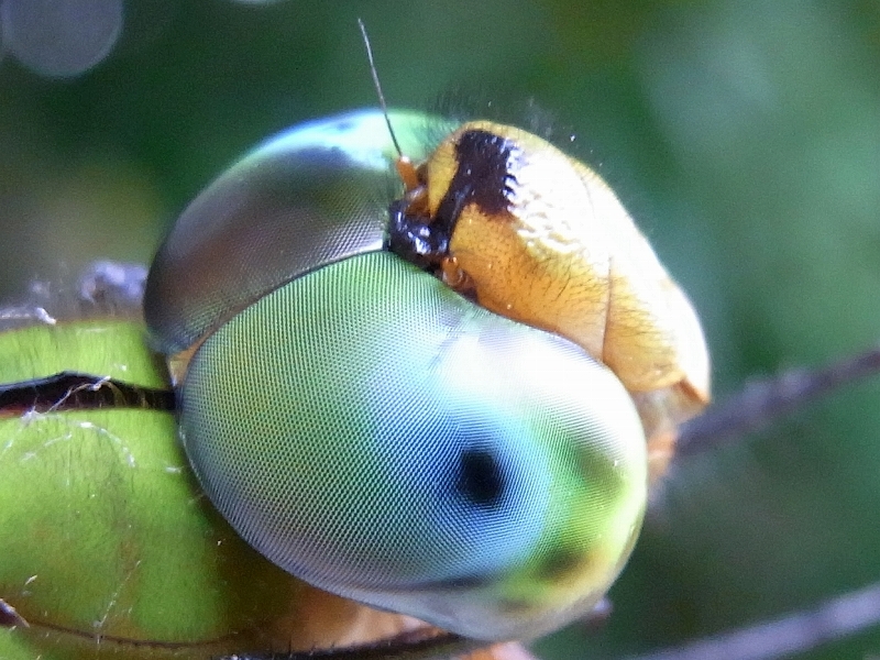 c0142963_22582731.jpg