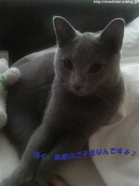 c0200365_0313522.jpg