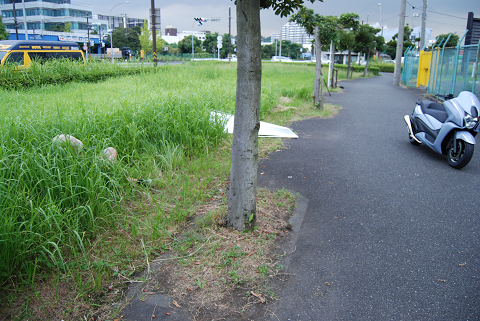 f0186368_1122489.jpg