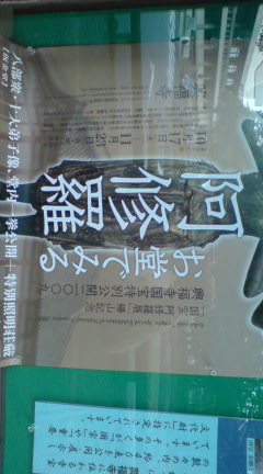 b0066069_23174045.jpg