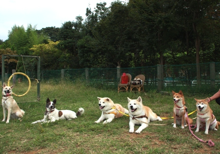 f0047870_2314279.jpg