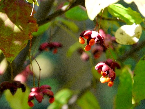 d0084473_218213.jpg