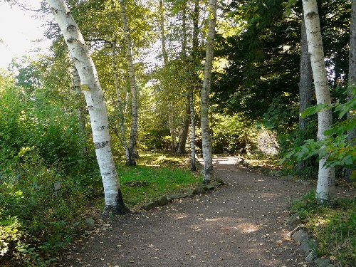 d0084473_219129.jpg