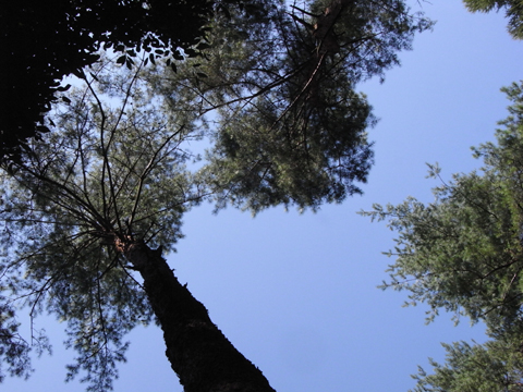 a0106978_2445888.jpg