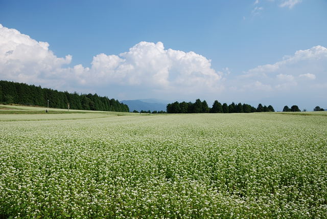 f0108478_20342710.jpg