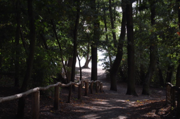 c0180686_17371067.jpg