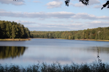 c0180686_17471132.jpg