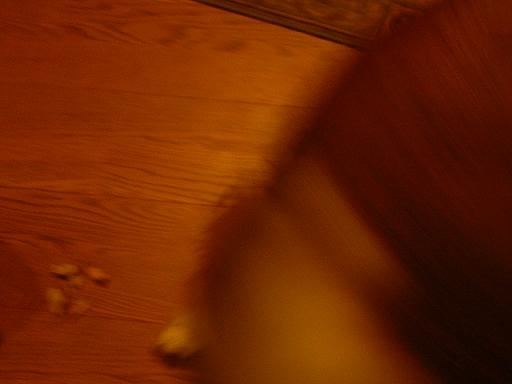 c0189388_16534568.jpg