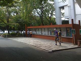 c0002089_7391536.jpg
