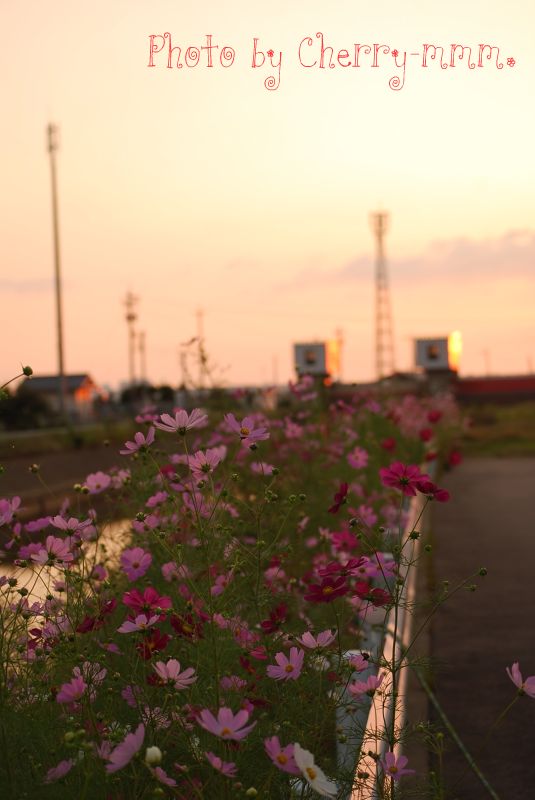 c0156789_183074.jpg