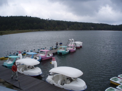 c0086895_1734671.jpg