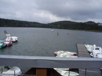 c0086895_17382924.jpg