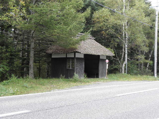 c0086895_1746250.jpg