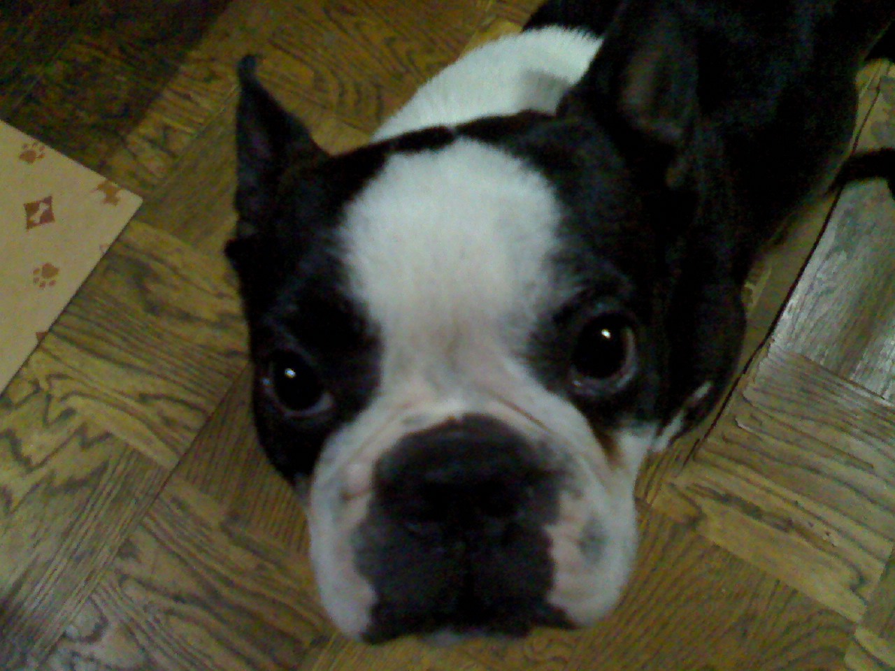 a0133999_2293283.jpg