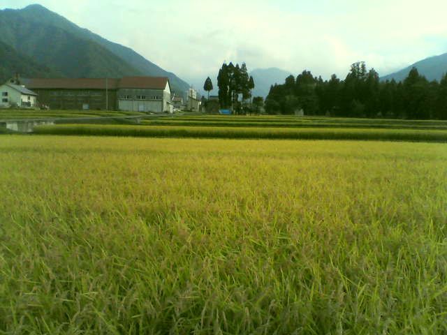 b0167999_1245475.jpg