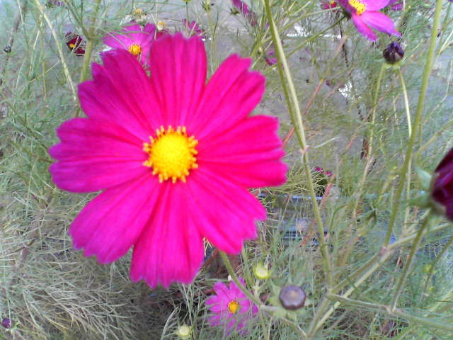 b0167999_12491151.jpg