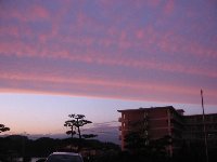 e0122199_025845.jpg