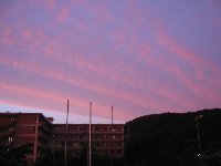 e0122199_034473.jpg