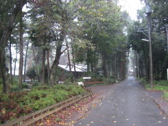 e0033301_2232515.jpg