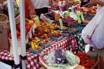 b0088205_1143597.jpg