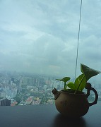 c0148705_0452159.jpg