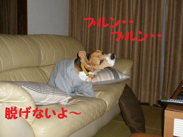 c0205806_1581878.jpg