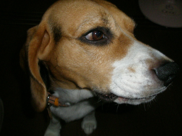 c0205806_949222.jpg