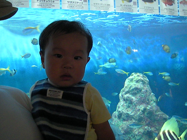 f0038407_22545434.jpg