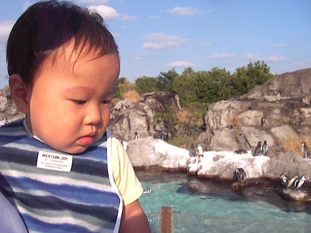 f0038407_22554919.jpg