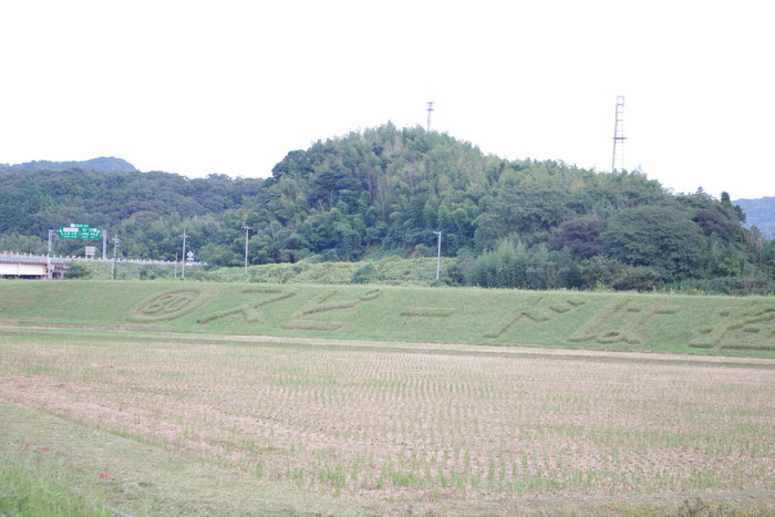 b0052108_14424.jpg